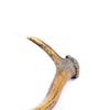 Crow Antler Quirt