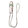 Sioux Beaded Headstall