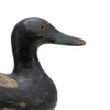 Pratt Black Duck Decoy