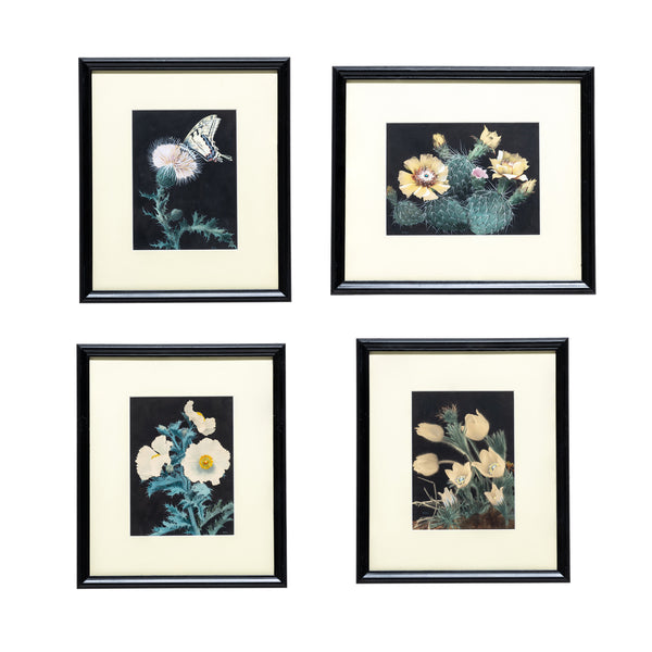 Cactus Paintings by Nash, Fine Art, Painting, Landscape