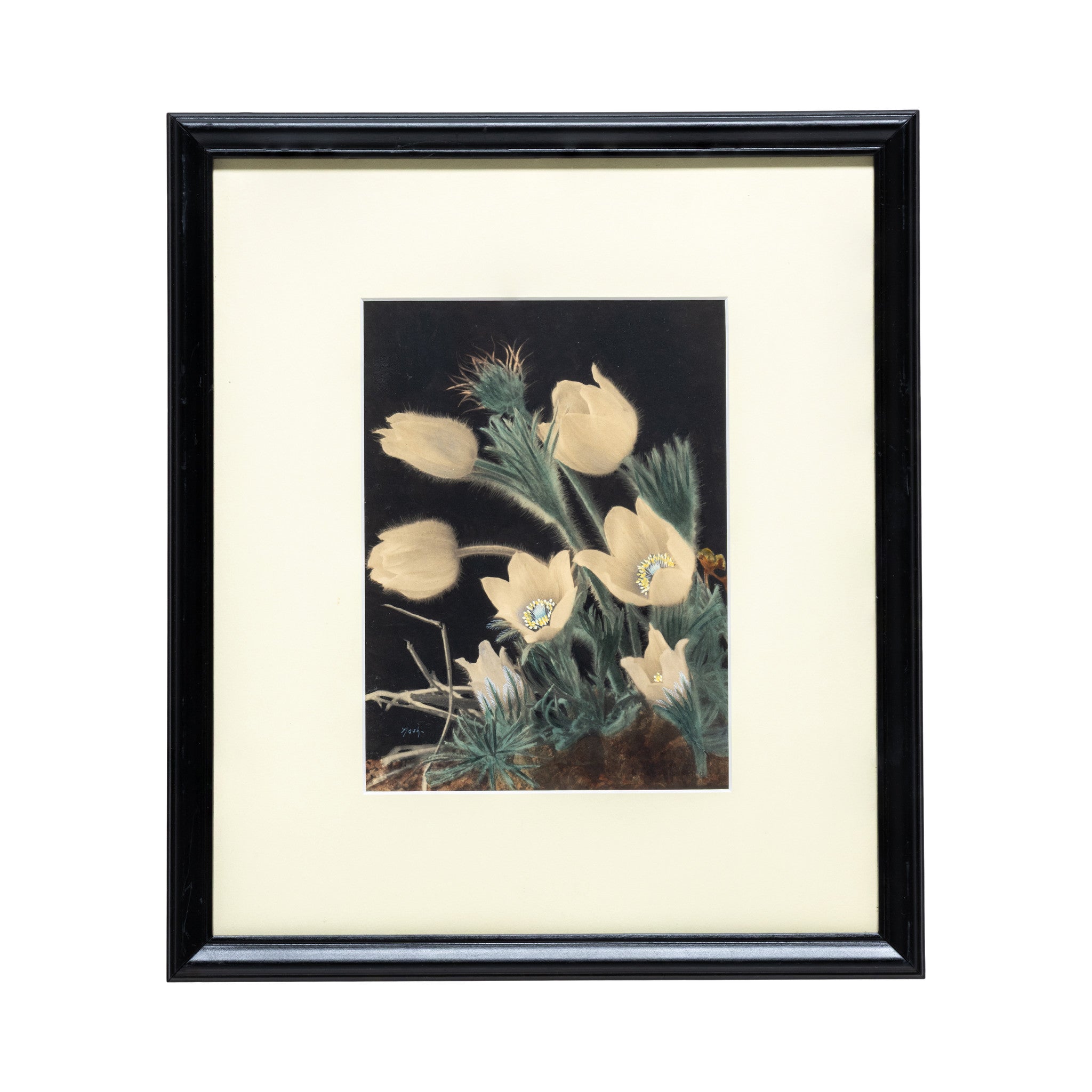 Cactus Paintings by Nash