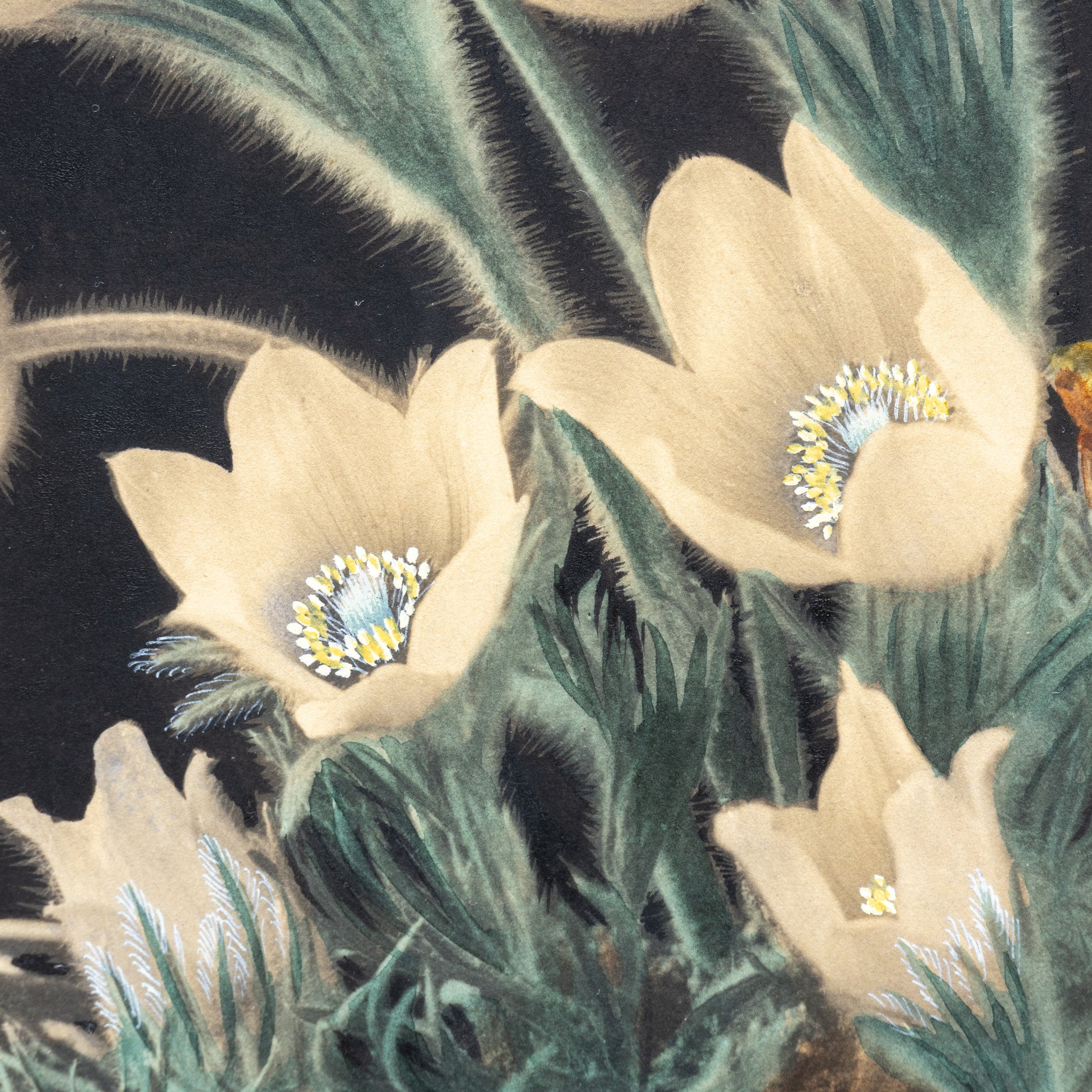 Cactus Paintings by Nash