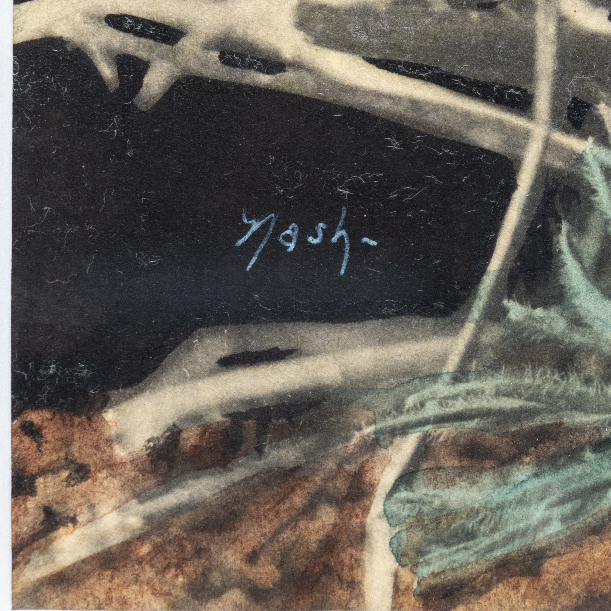 Cactus Paintings by Nash