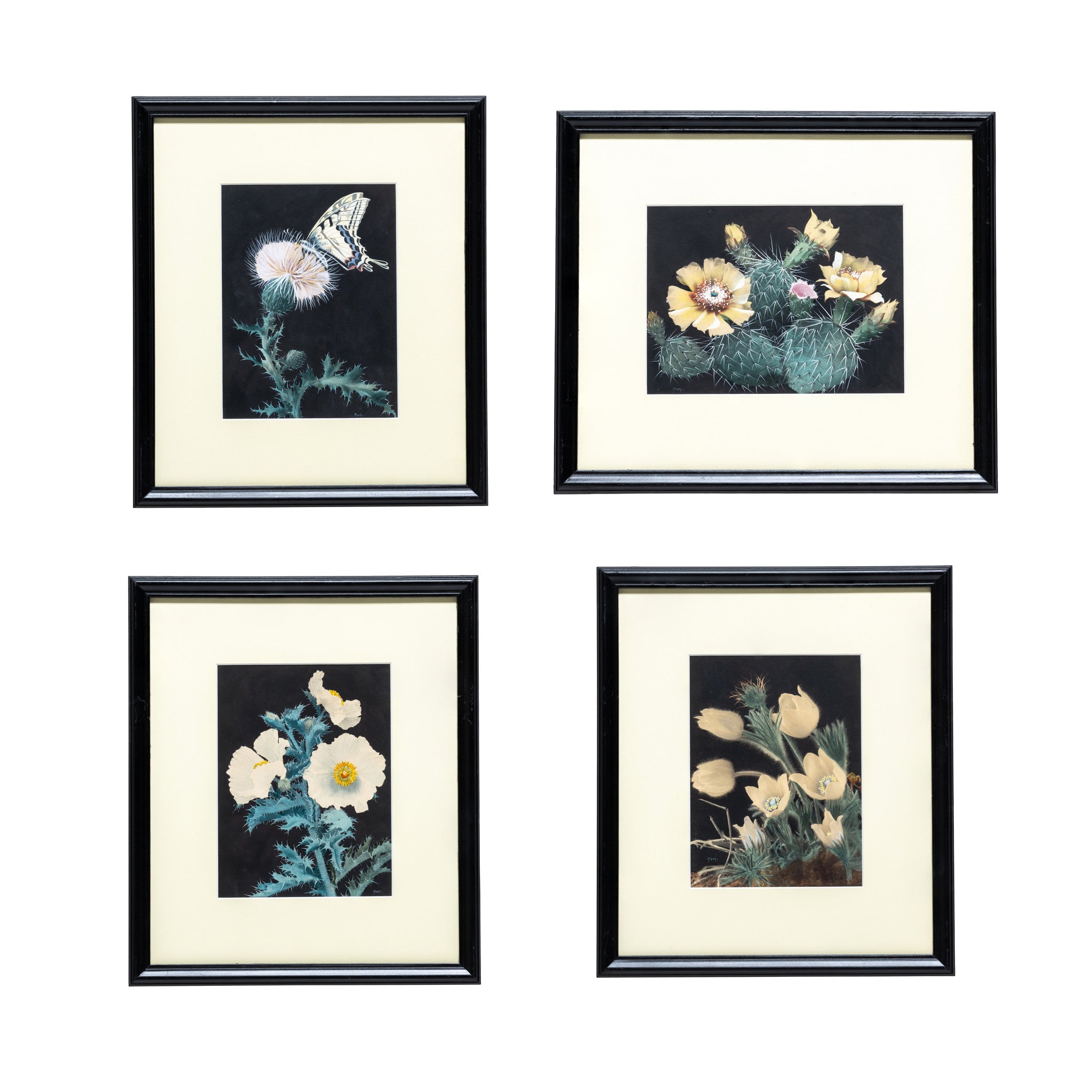 Cactus Paintings by Nash, Fine Art, Painting, Landscape