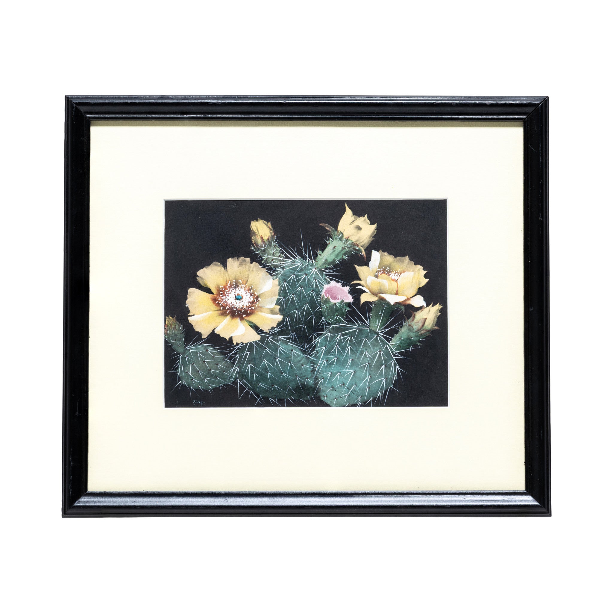 Cactus Paintings by Nash