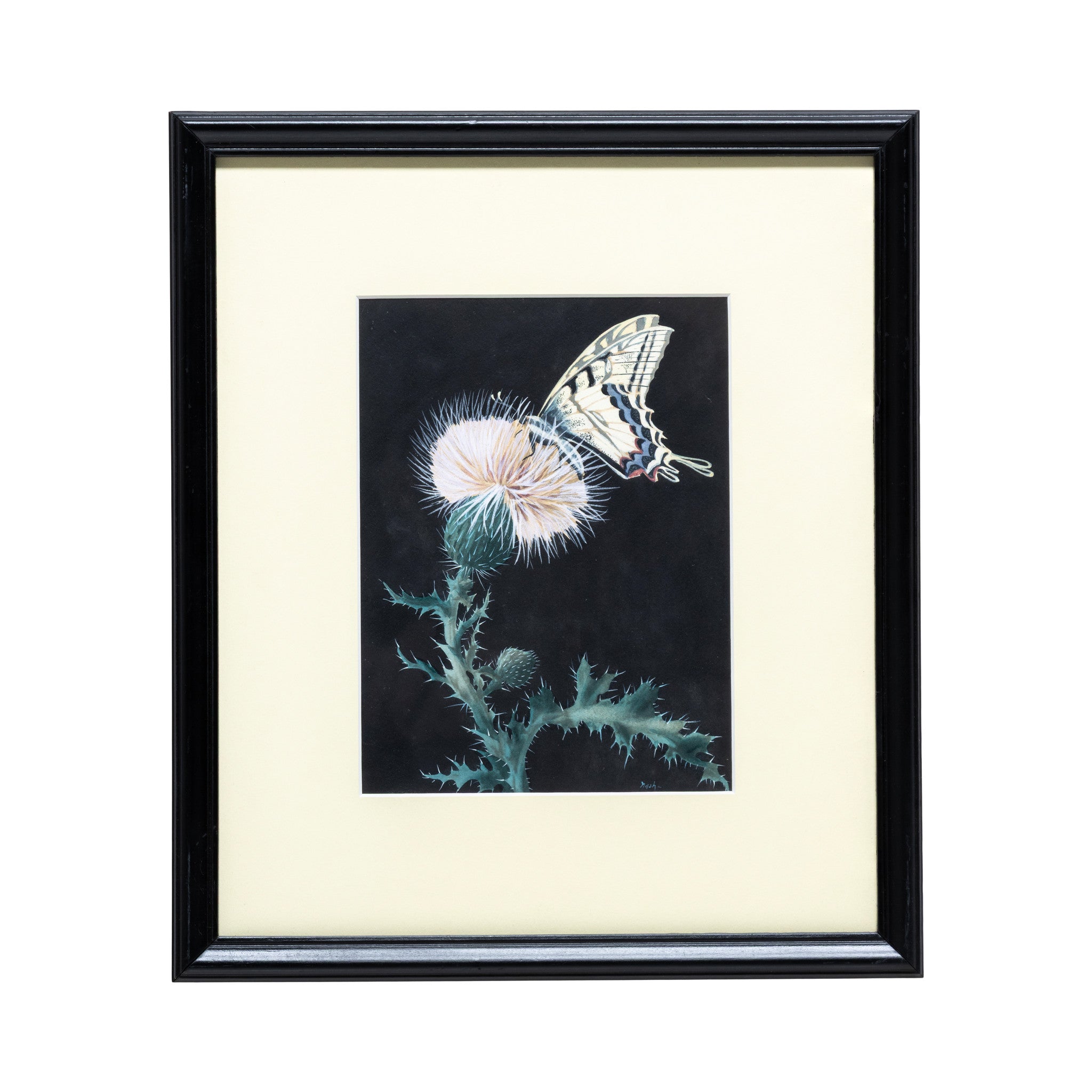 Cactus Paintings by Nash