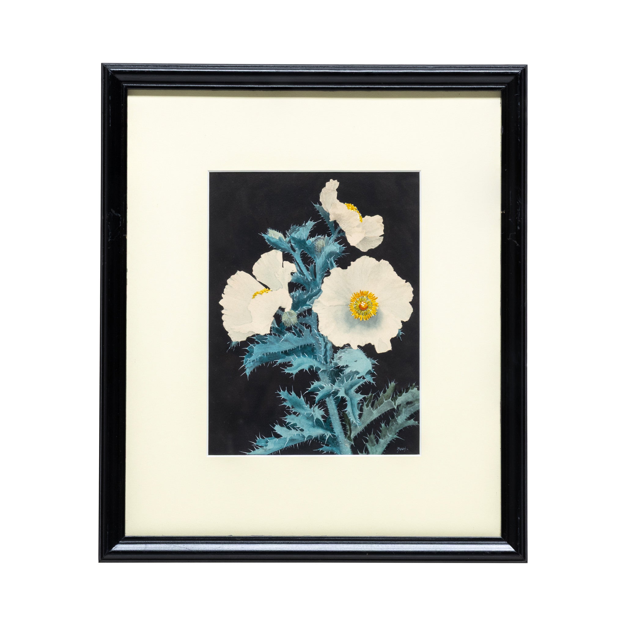 Cactus Paintings by Nash