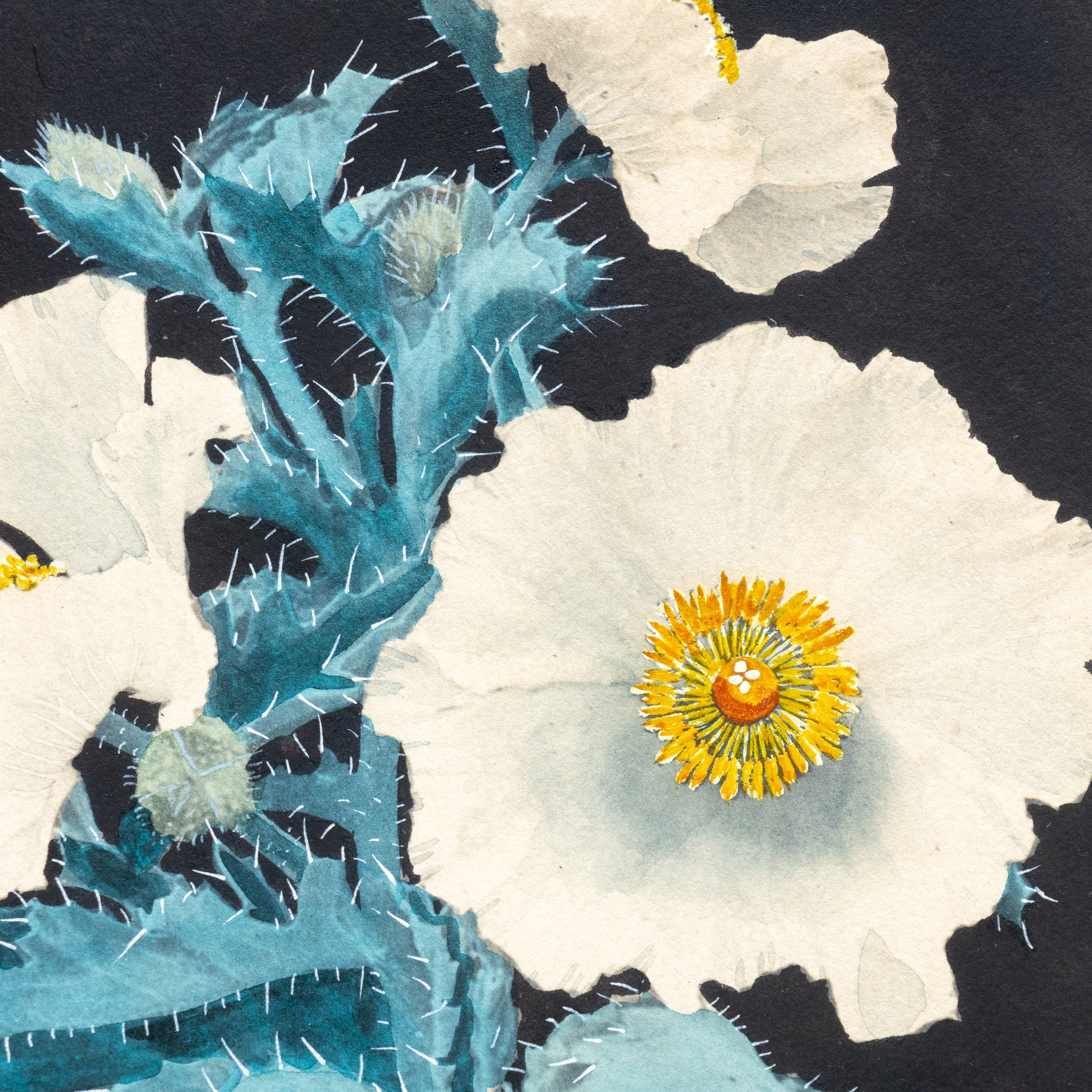 Cactus Paintings by Nash