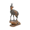 Black Forest Chamois