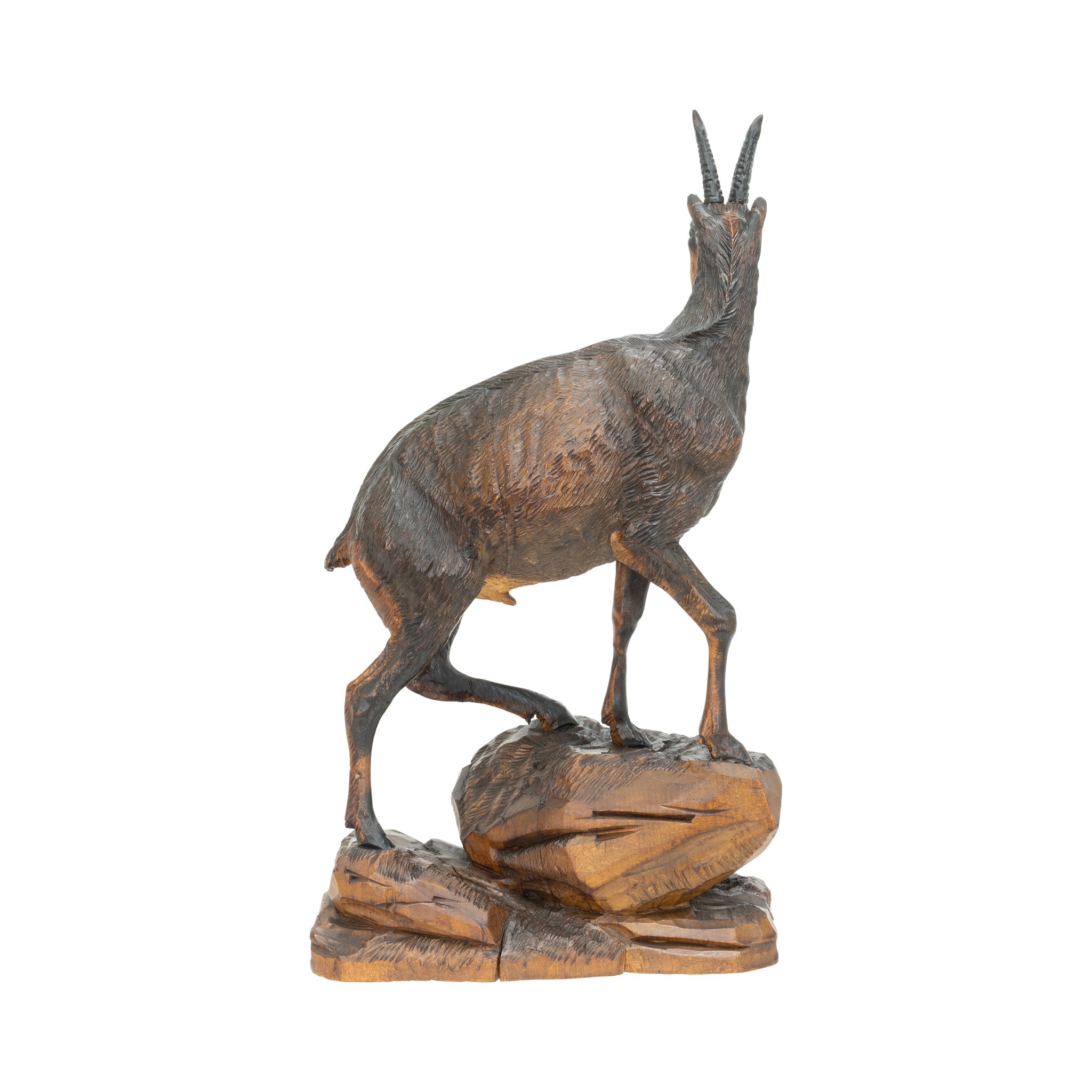 Black Forest Chamois