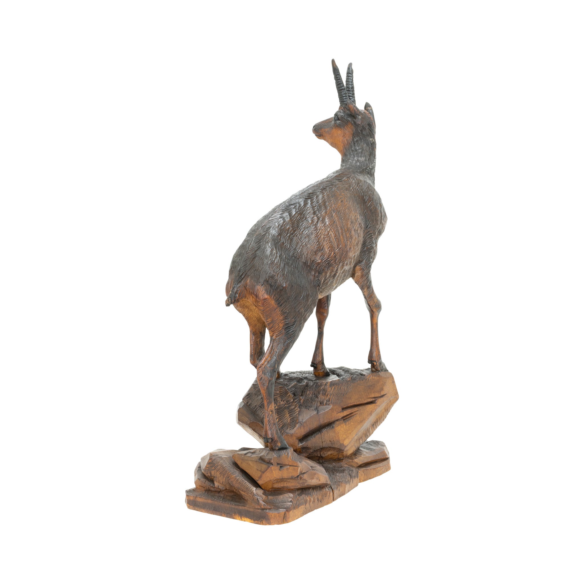 Black Forest Chamois