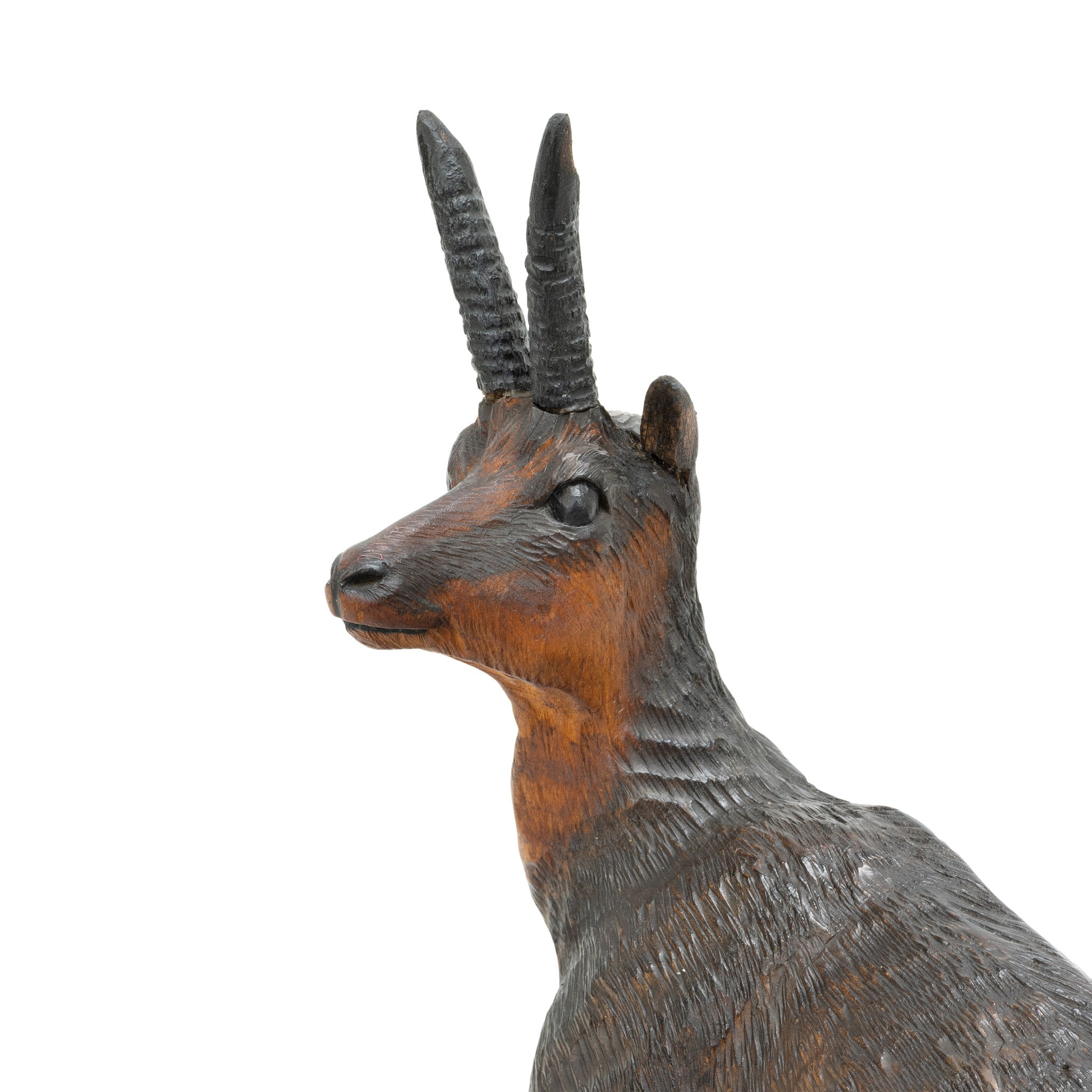 Black Forest Chamois