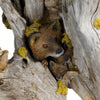 Red Fox Table Lamp
