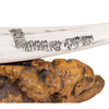 Scrimshawed Walrus Tusks