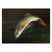 A Lucky Strike by H.A. Driscole, Fine Art, Painting, Sporting