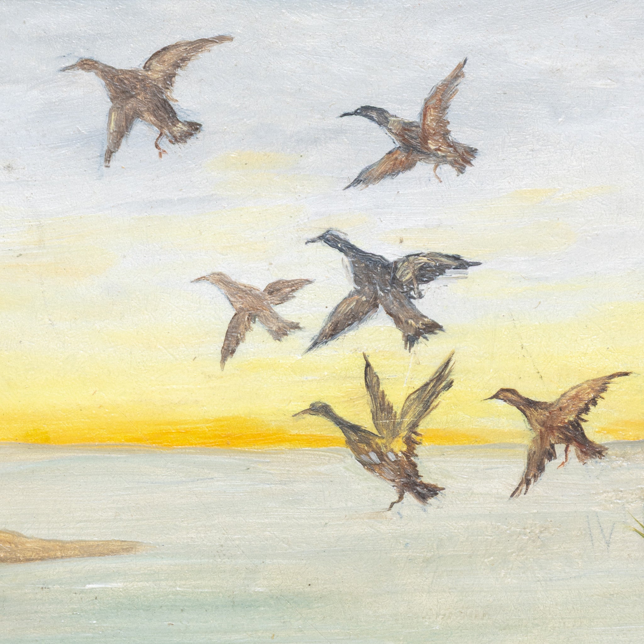 Mallards Landing by I.S.W.