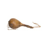 Northern Plains Rattle