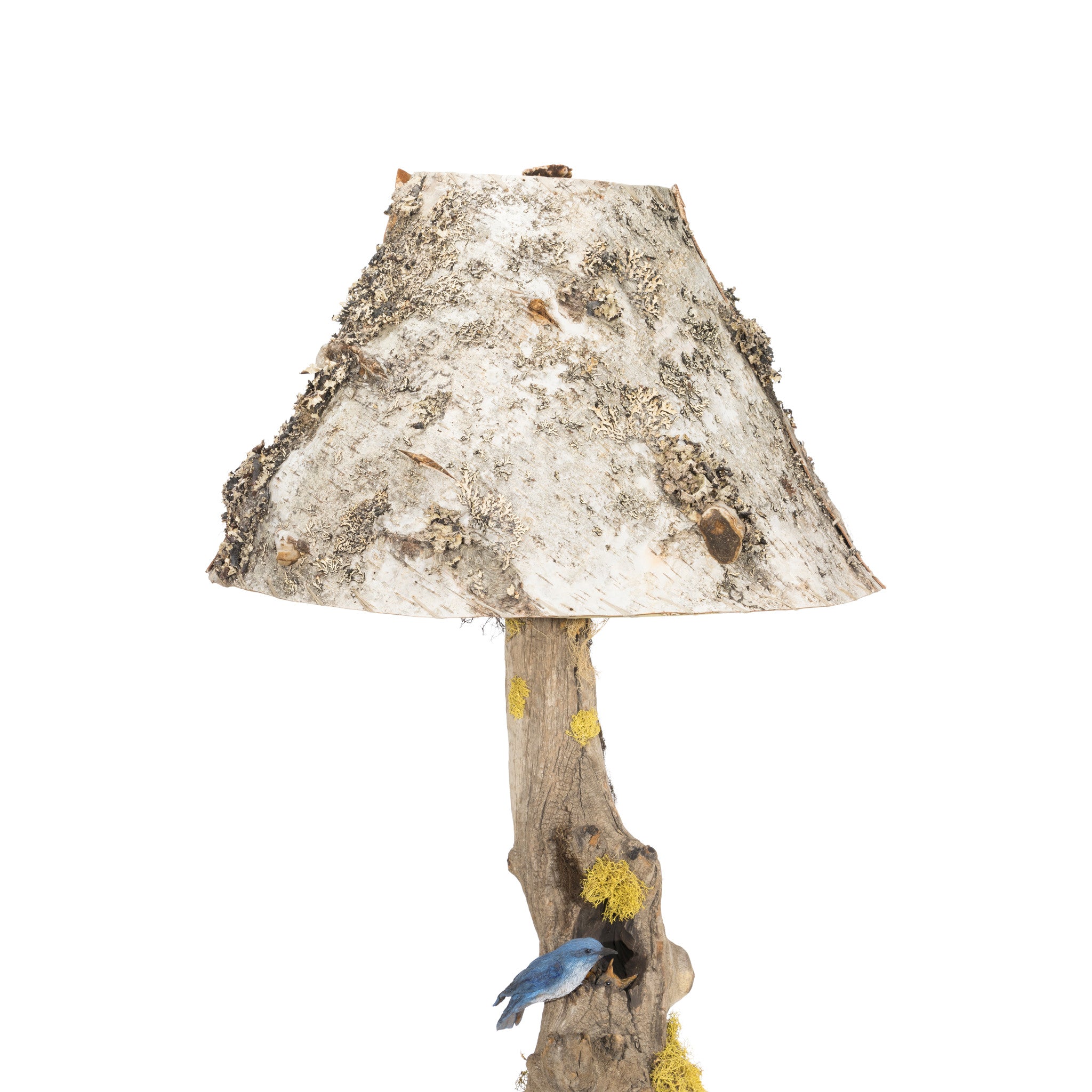 Rocky Mountain Bluebird Table Lamp