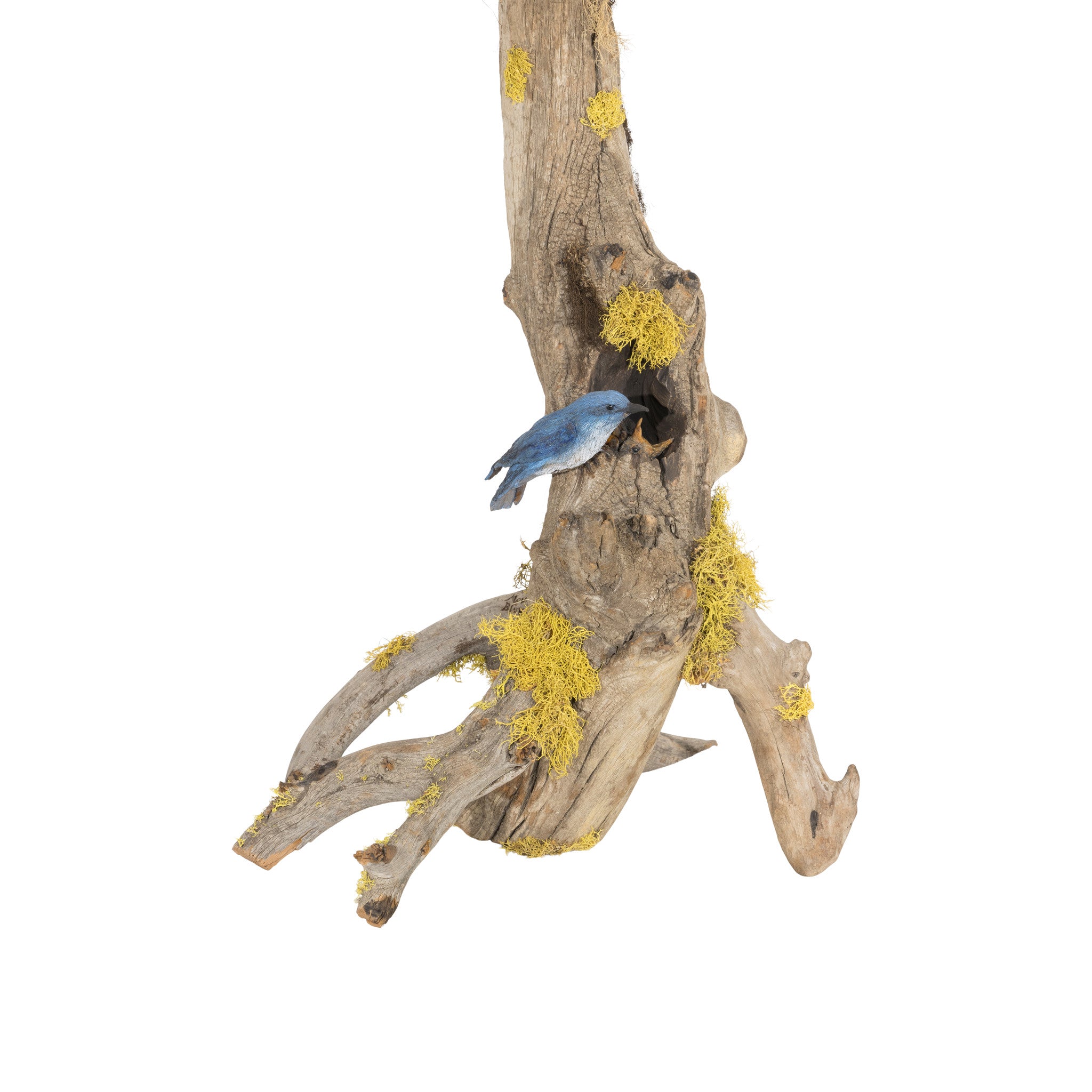 Rocky Mountain Bluebird Table Lamp