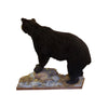 Black Bear Full Mount
