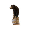 Black Bear Full Mount