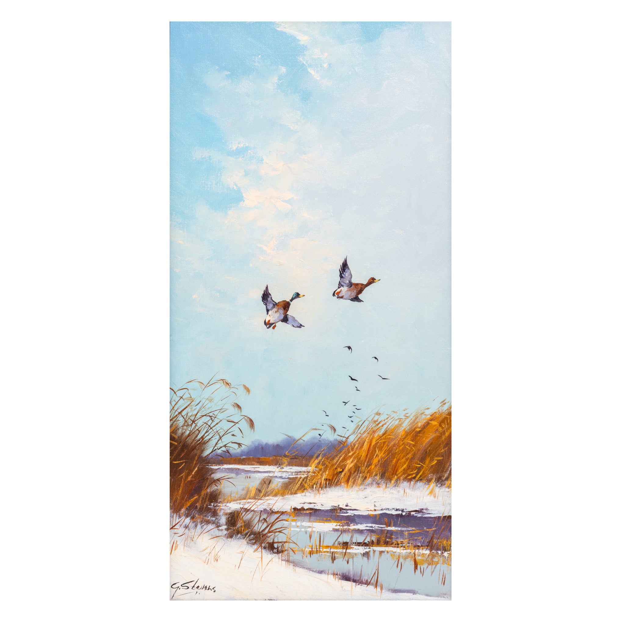 Ducks in Flight by Godfrey Stevens