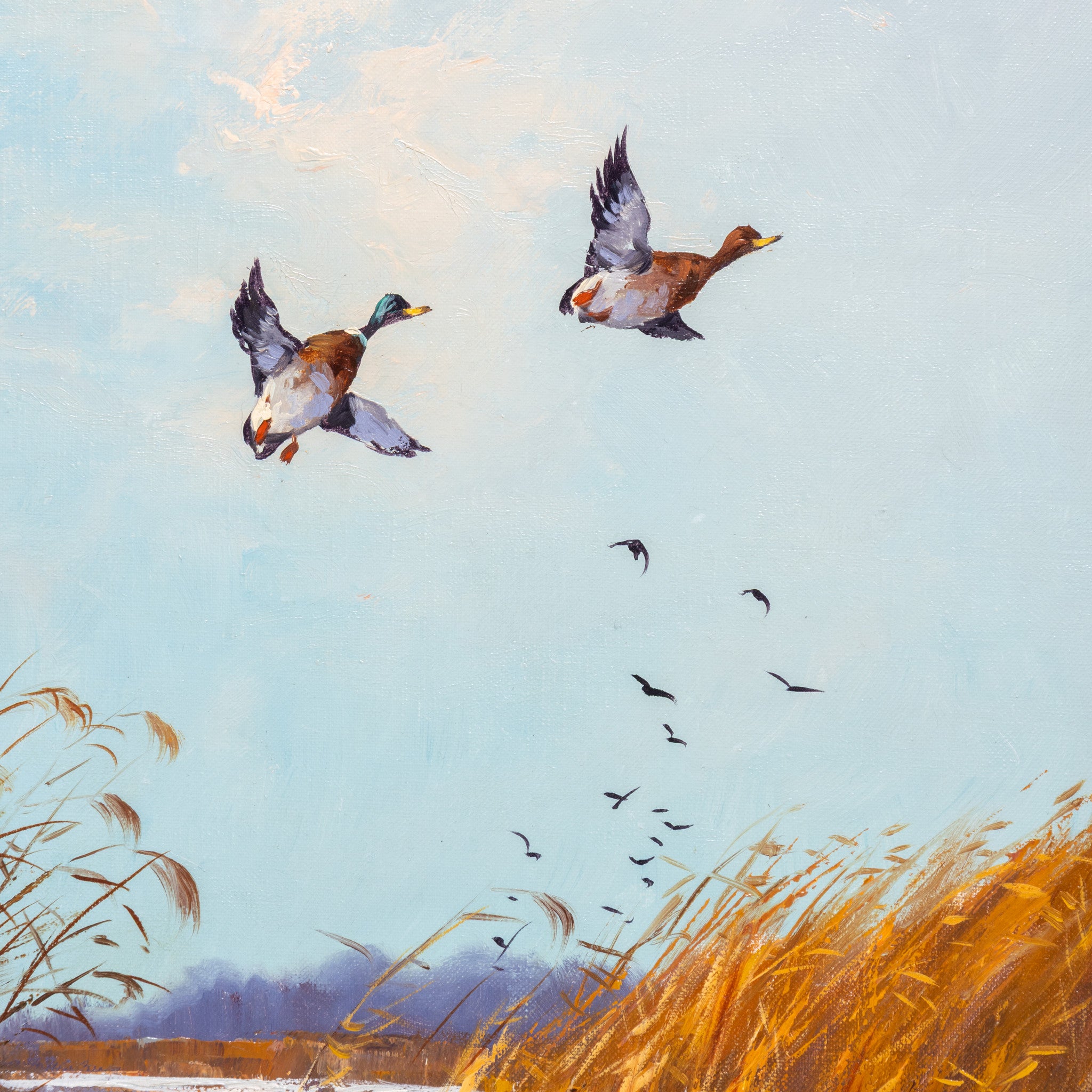 Ducks in Flight by Godfrey Stevens
