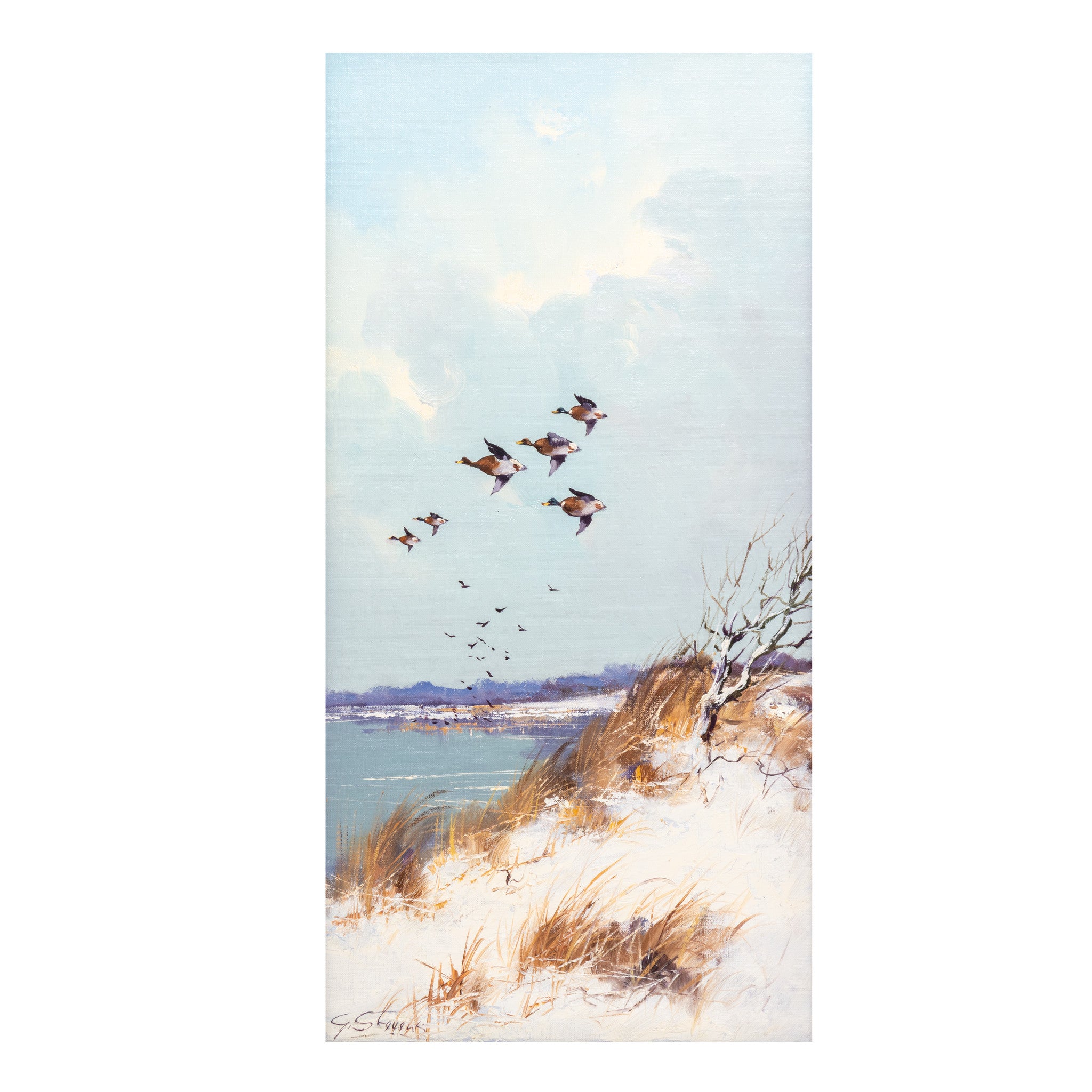 Ducks in Flight by Godfrey Stevens