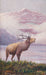 Folky Elk, Fine Art, Painting, Wildlife