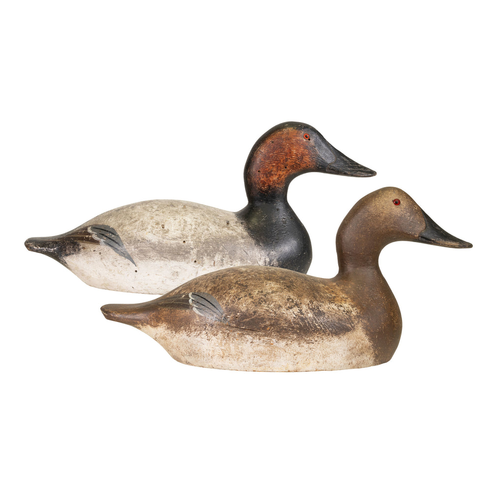 Mammoth Evans Canvasback Decoy Pair — Cisco's Gallery