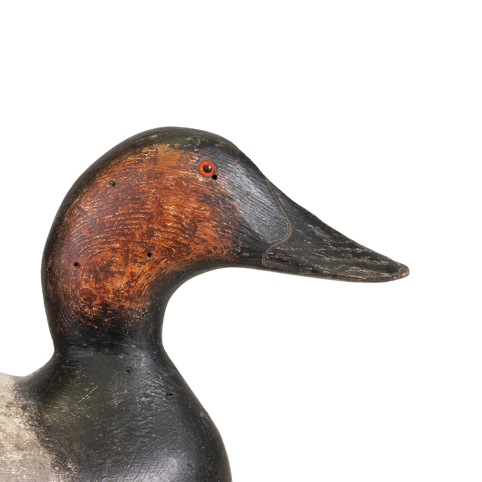 Mammoth Evans Canvasback Decoy Pair — Cisco's Gallery