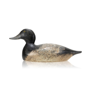 Evans Bluebill Drake Decoy, Sporting Goods, Hunting, Waterfowl Decoy