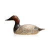 Evans Canvasback Drake Decoy, Sporting Goods, Hunting, Waterfowl Decoy