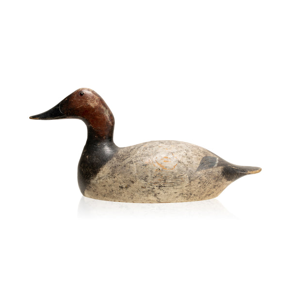 Evans Canvasback Drake Decoy, Sporting Goods, Hunting, Waterfowl Decoy