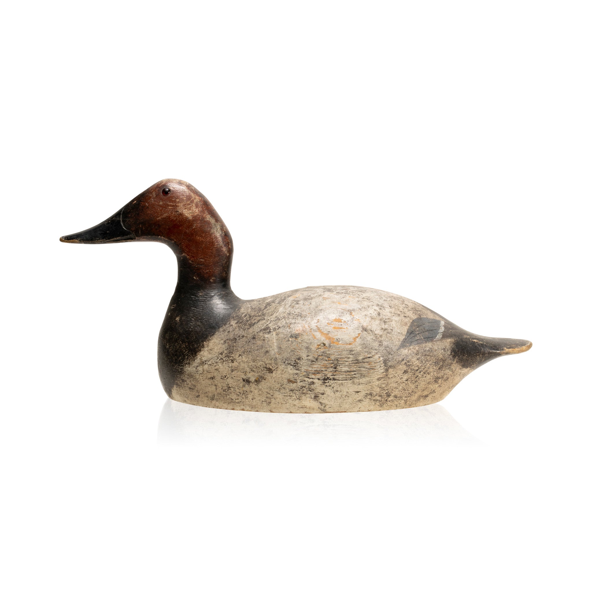 Evans Canvasback Drake Decoy, Sporting Goods, Hunting, Waterfowl Decoy