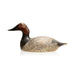 Evans Canvasback Drake Decoy, Sporting Goods, Hunting, Waterfowl Decoy