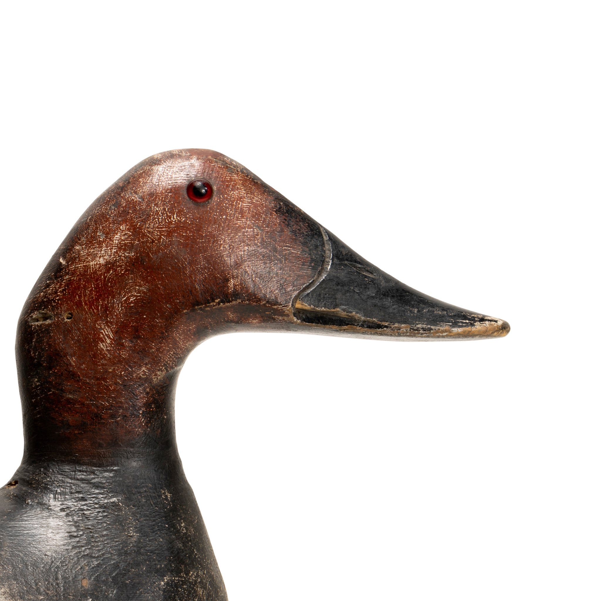 Evans Canvasback Drake Decoy