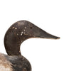 Pratt Canvasback Drake Decoy
