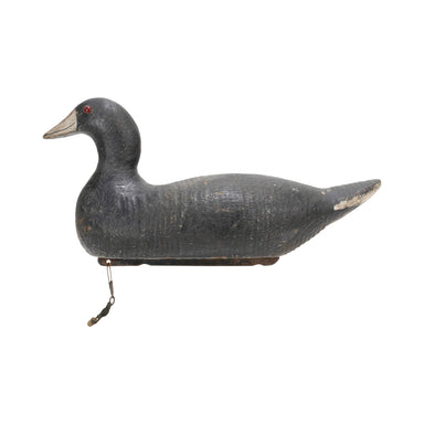 Pratt Coot Decoy, Sporting Goods, Hunting, Waterfowl Decoy