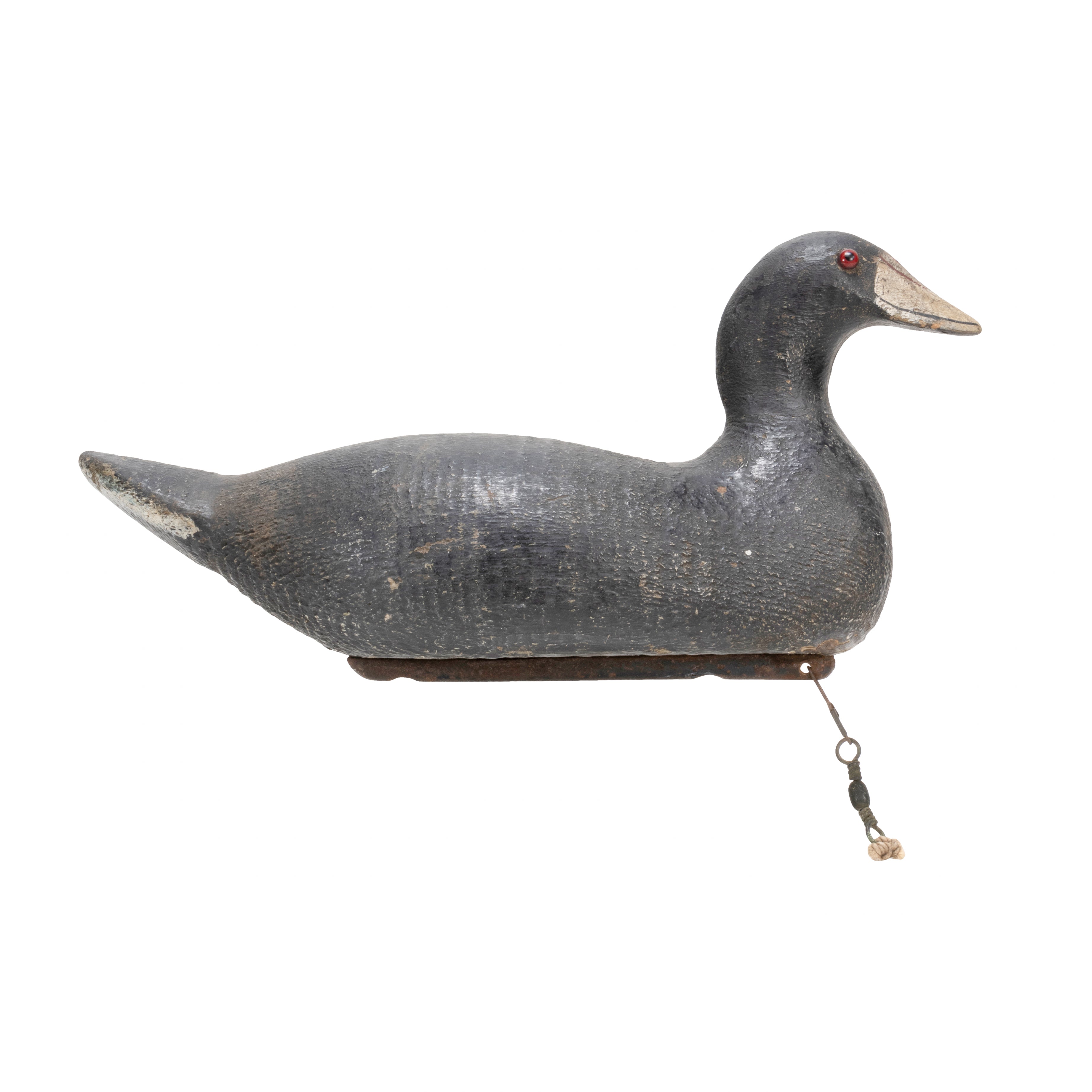 Pratt Coot Decoy
