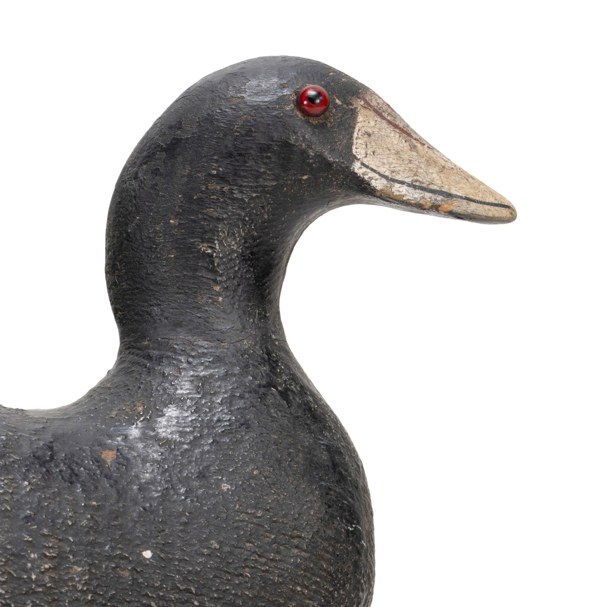 Pratt Coot Decoy
