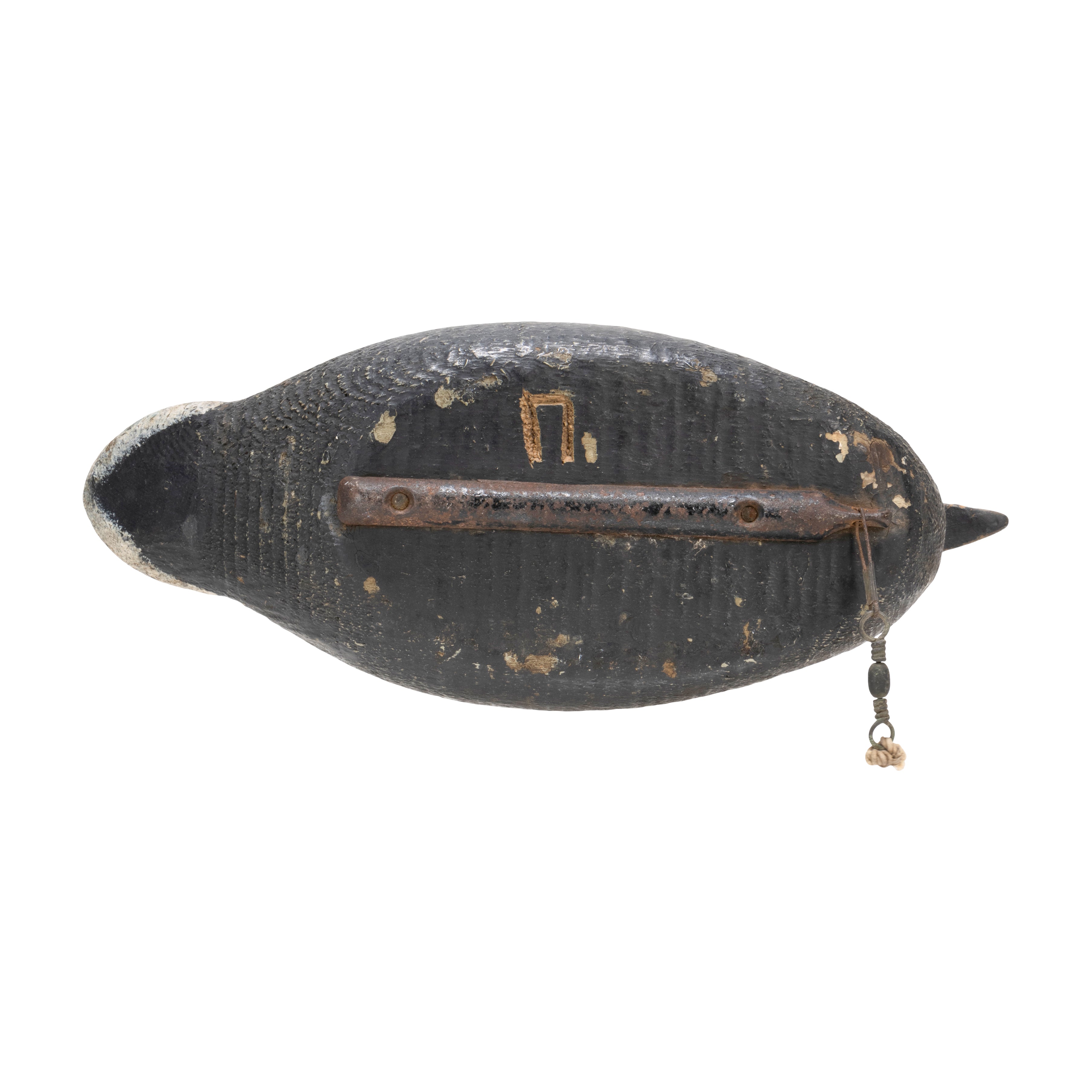 Pratt Coot Decoy