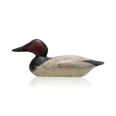 Mason Canvasback Drake Decoy, Sporting Goods, Hunting, Waterfowl Decoy