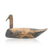 Coot Root Head Decoy, Sporting Goods, Hunting, Waterfowl Decoy