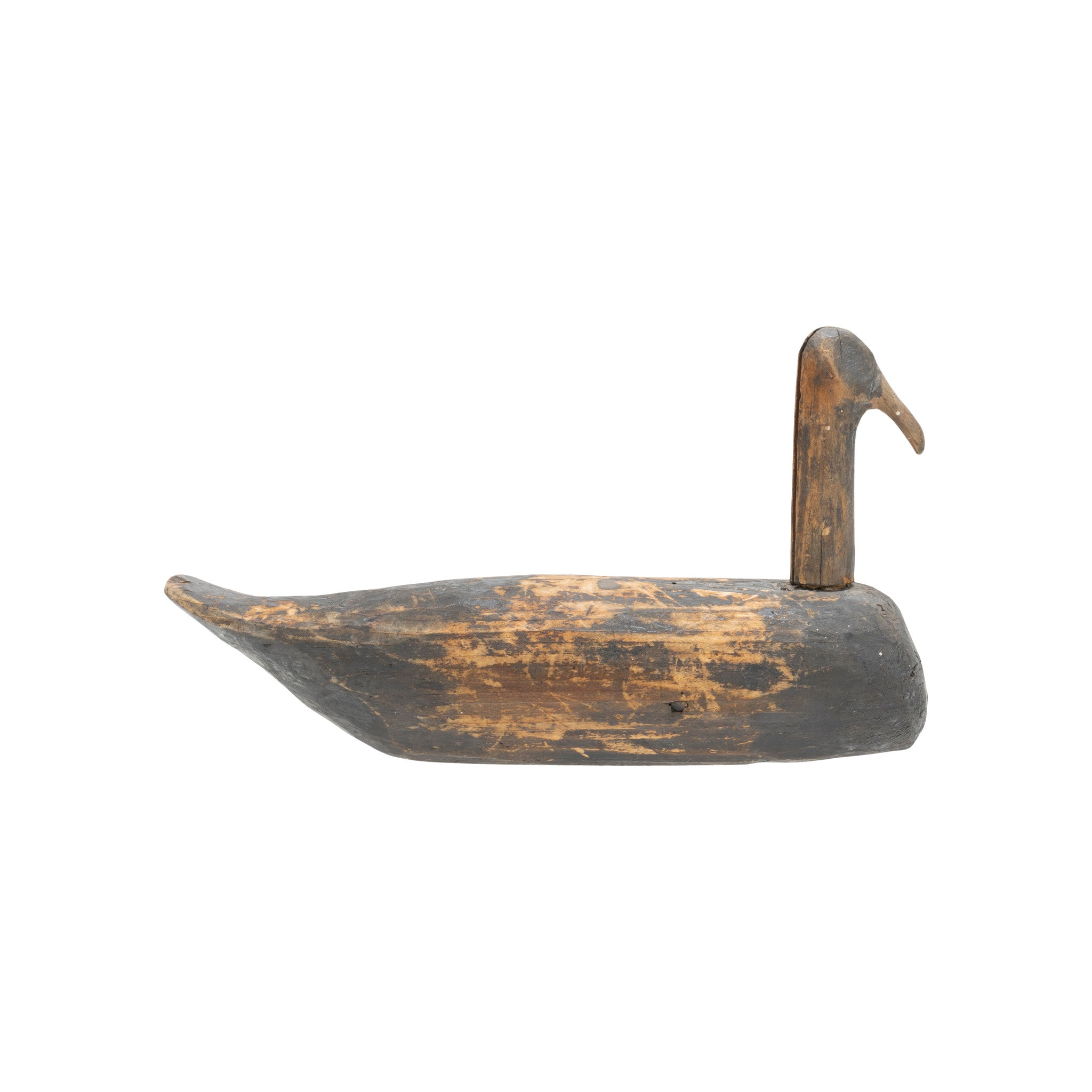 Coot Root Head Decoy