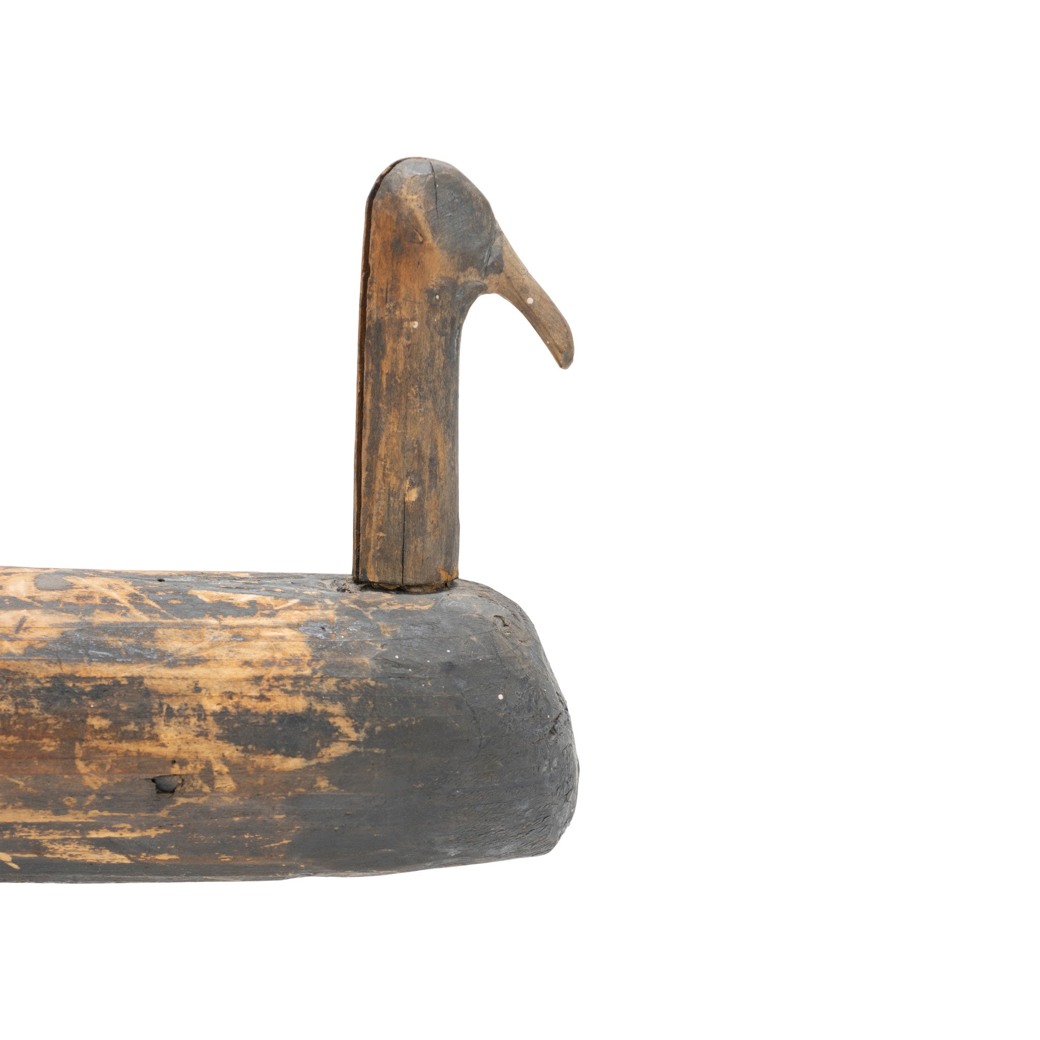 Coot Root Head Decoy