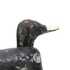 Tiny Coot Decoy