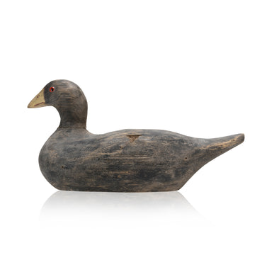 Jackie Novie Coot Decoy, Sporting Goods, Hunting, Waterfowl Decoy