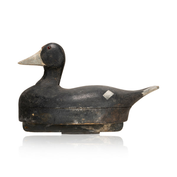 Wisconsin Coot Decoy, Sporting Goods, Hunting, Waterfowl Decoy