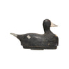 Wisconsin Coot Decoy